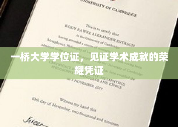 一桥大学学位证，见证学术成就的荣耀凭证