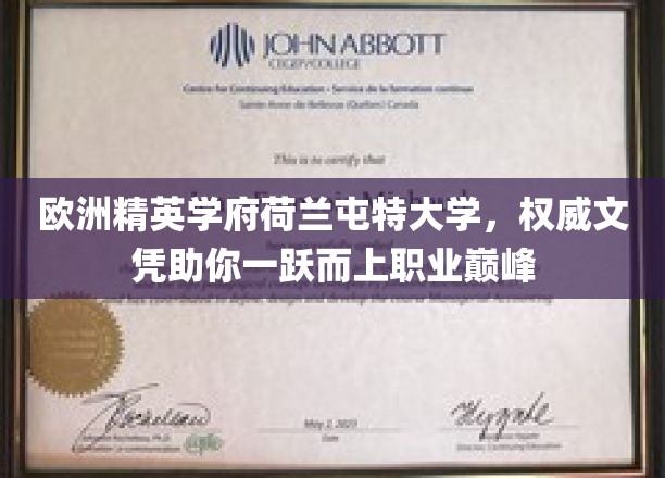 荷兰屯特大学荣耀文凭，开启你的职业飞跃之门