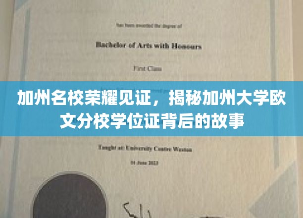 加州大学欧文分校学位证，探寻荣耀背后的加州名校传奇