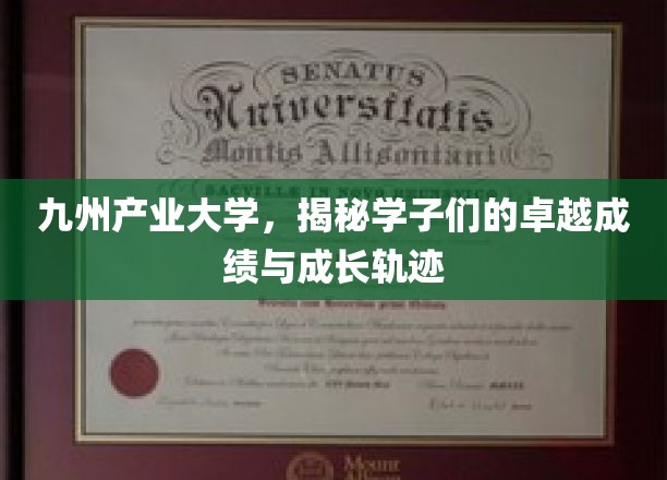 九州学子荣耀，产业大学里的卓越之路与辉煌成就