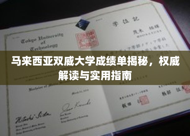 马来西亚双威大学成绩单解析，全面攻略与实战技巧