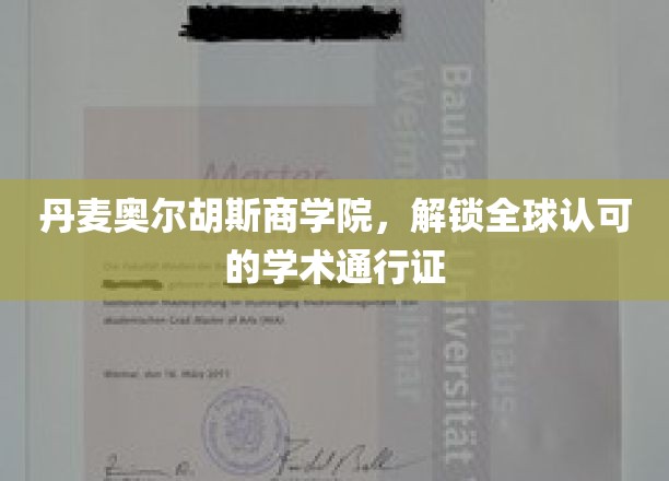 丹麦奥尔胡斯商学院，开启全球认可的学术之旅