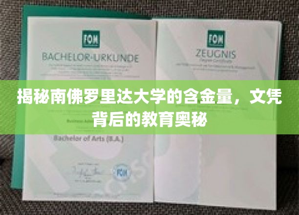 揭秘南佛罗里达大学的含金量，文凭背后的教育奥秘