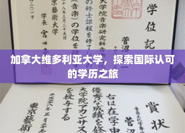 跨越国界，维多利亚大学引领学历新境界