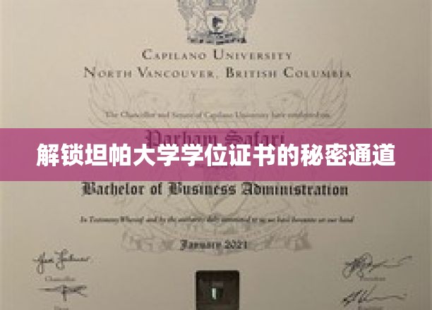 探寻坦帕大学学位证书的奥秘之路
