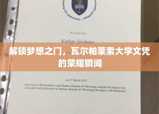 追寻荣耀足迹，瓦尔帕莱索大学文凭背后的辉煌启航