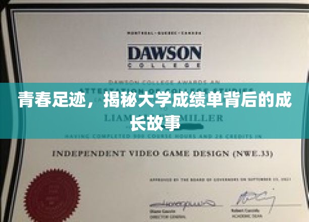 青春轨迹，解锁大学成绩单中的青春篇章