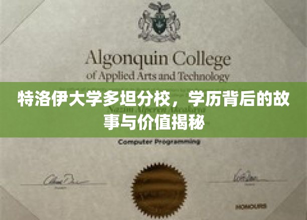 探寻特洛伊大学多坦分校，学历背后的传奇与无形价值