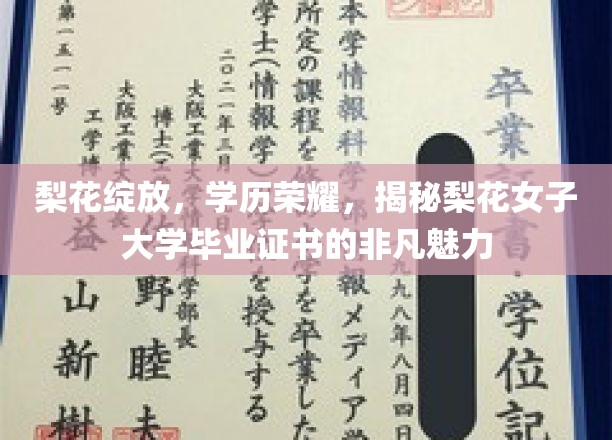 梨花绽放，荣耀学历，一纸证书背后的非凡梨花女子大学传奇