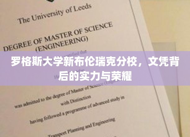 罗格斯新布伦瑞克，揭开文凭荣耀背后的坚实实力之谜