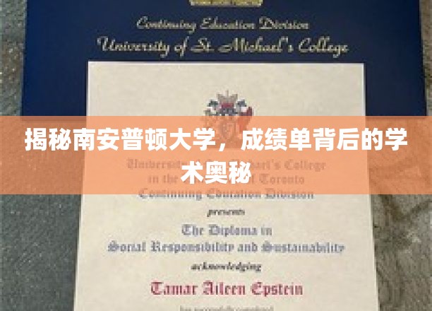 解码南安普顿，揭开成绩单背后的学术秘境