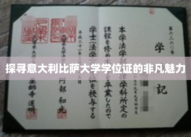 探寻意大利比萨大学学位证的非凡魅力