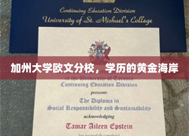 加州黄金学府，欧文分校的学历宝藏海岸