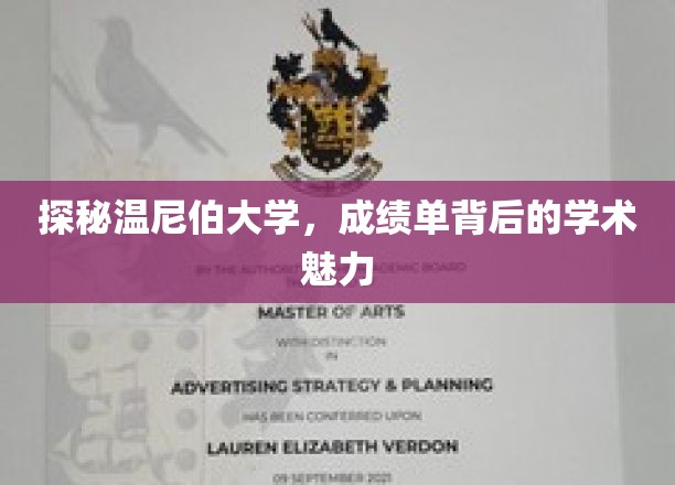 揭开温尼伯大学成绩单背后的学术风采之谜