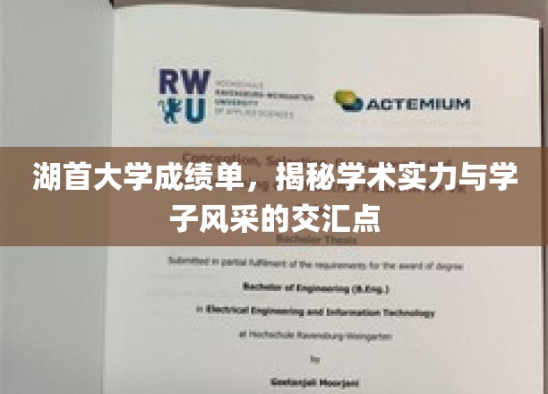 湖首大学风采录，成绩单背后的学术魅力与学子风华绽放