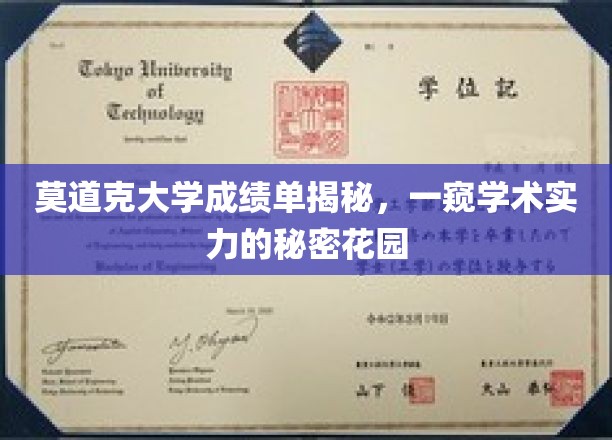 莫道克大学成绩单揭秘，一窥学术实力的秘密花园