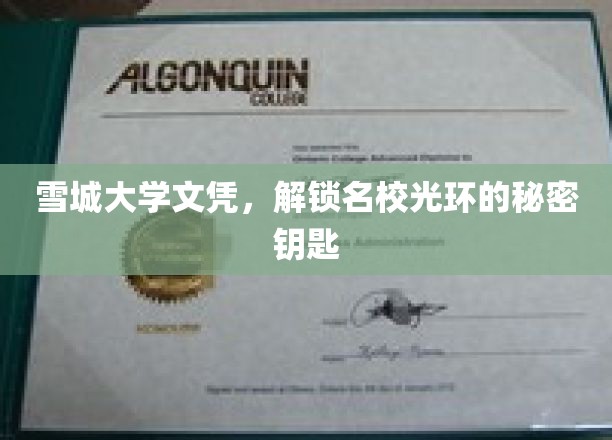 雪城大学文凭，开启精英学府荣耀之路的神秘钥匙