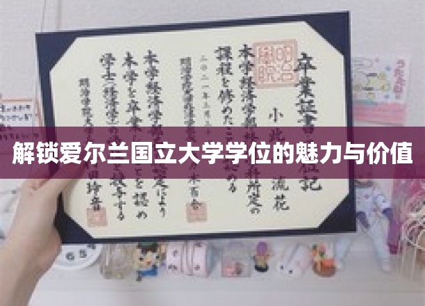 解锁爱尔兰国立大学学位的魅力与价值