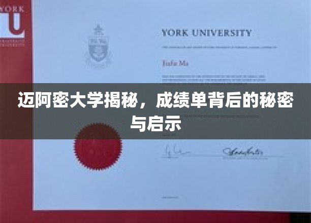 迈阿密大学揭秘，成绩单背后的秘密与启示