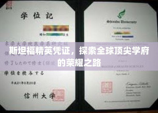 解码斯坦福荣耀，全球精英教育的璀璨足迹