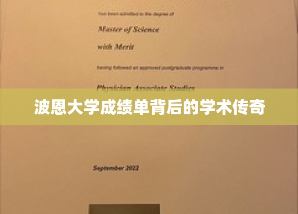 波恩大学成绩单，揭开学霸背后的学术奥秘
