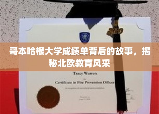 揭开哥本哈根大学成绩单的神秘面纱，探寻北欧教育魅力