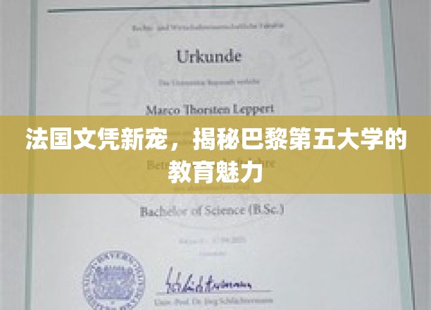 巴黎第五大学，法国教育界的新星闪耀