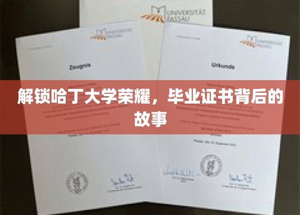 哈丁荣耀揭晓，毕业证书背后的神秘历程