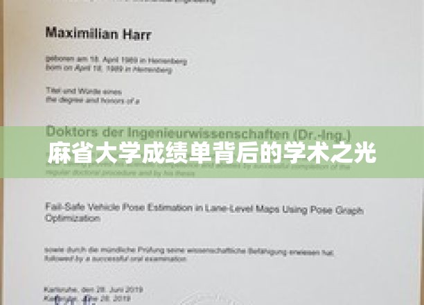 探寻麻省大学成绩单中的智慧星辉