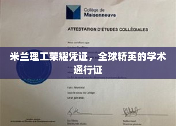 米兰理工精英护照，开启全球学术殿堂之旅