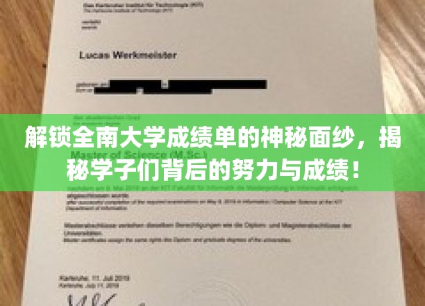 探寻全南大学成绩单背后的故事，学子奋斗之路大揭秘