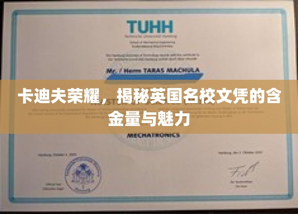 探寻卡迪夫荣耀，揭秘英国名校文凭的非凡价值与独特魅力