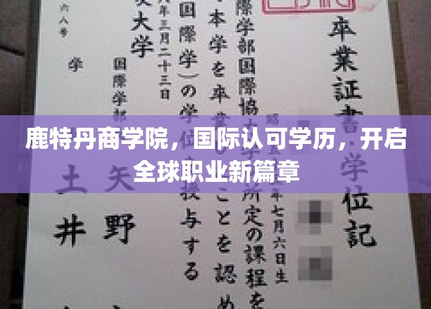 跨国精英摇篮，鹿特丹商学院助力国际职场飞跃