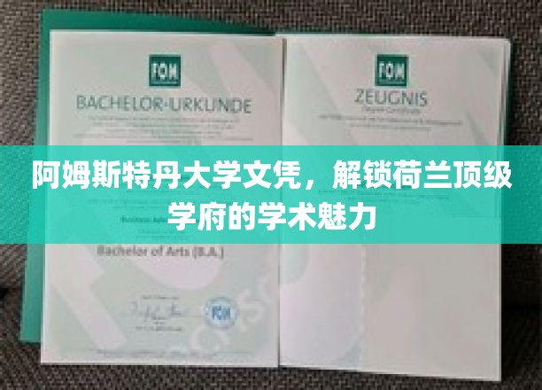 漫步阿姆斯特丹，一纸文凭尽展荷兰顶尖学府风采