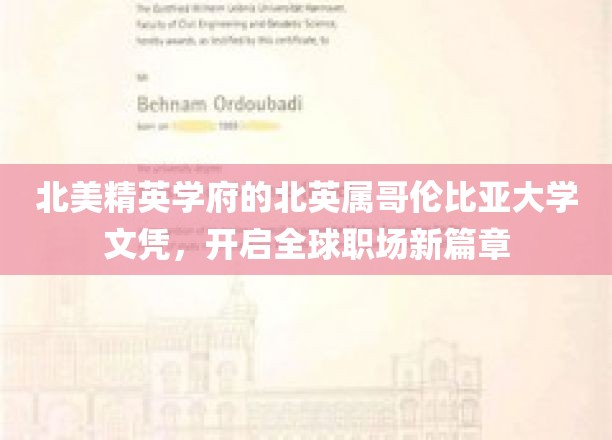 BC大学文凭，助你跨越北美职场门槛，开启国际职业生涯新篇章