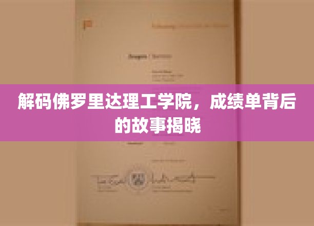 探寻佛罗里达理工学院的秘密，揭开学术成就背后的真实历程
