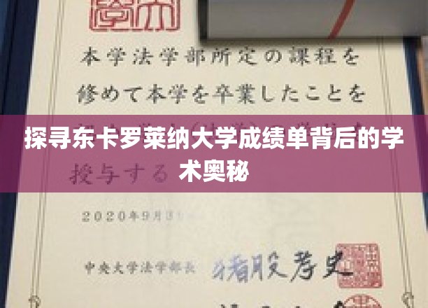 解码东卡罗莱纳大学成绩单，揭秘学术卓越的奥秘路径