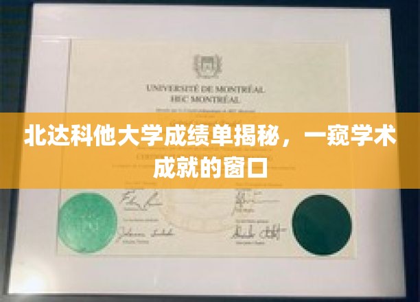 北达科他大学成绩单背后，解锁学子学术成就的神秘面纱