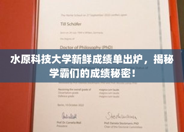 水原科技大学学霸成绩单大揭秘，揭秘学霸们的学习秘籍！