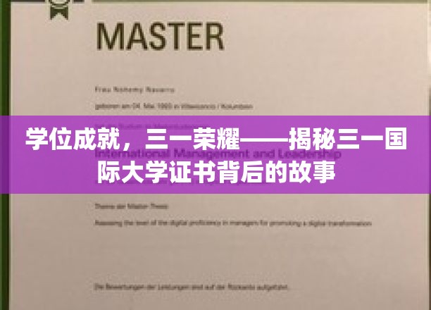 三一荣耀揭秘，学位背后的传奇之路