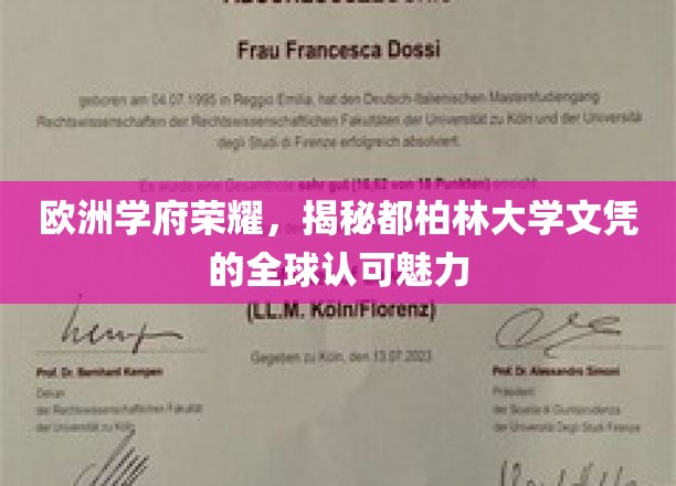 欧洲教育瑰宝，都柏林大学文凭，国际认可的魅力之光