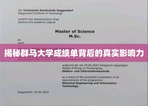 群马大学成绩单，揭开影响未来的秘密力量