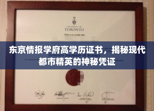 解码东京精英圈，高学历证书背后的都市秘密