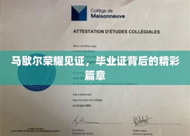 荣耀篇章，马歇尔毕业证背后的辉煌故事