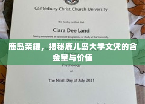 鹿岛精英证照，鹿儿岛大学文凭的非凡魅力与职场认可