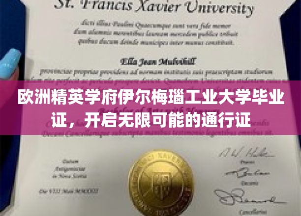 欧洲顶级学府伊尔梅瑙工业大学毕业，掌握开启未来之门的金钥匙