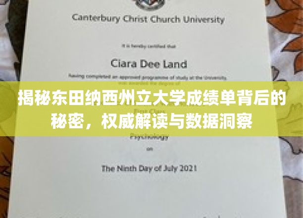 揭开东田纳西州立大学成绩单神秘面纱，深度解析与数据解码