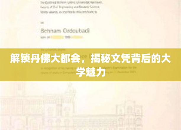 解锁丹佛大都会，揭秘文凭背后的大学魅力