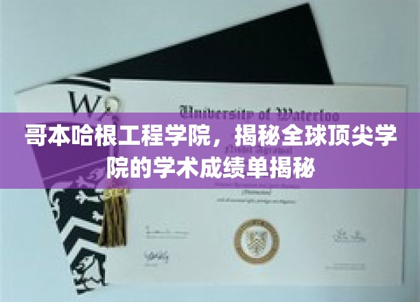 哥本哈根工程学院，揭秘全球顶尖学院的学术成绩单揭秘