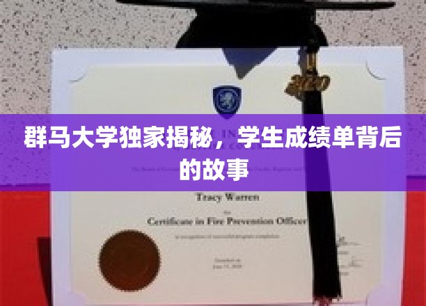 揭开群马大学成绩单背后的神秘面纱